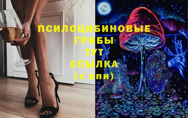 дмт Яранск